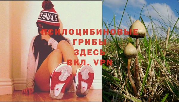бошки Баксан