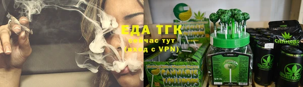 сатива Балахна