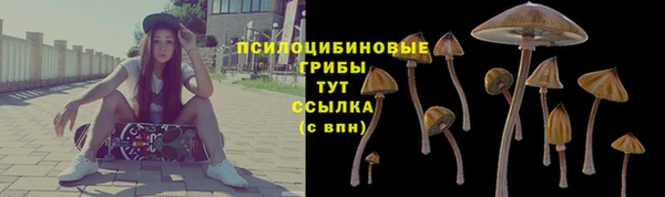 бошки Баксан