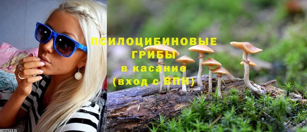 бошки Баксан