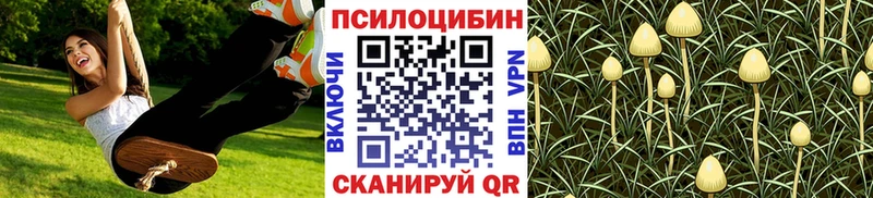 Псилоцибиновые грибы мицелий  наркота  Лангепас 